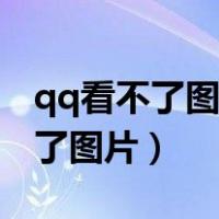 qq看不了图片听不了语音怎么回事（qq看不了图片）