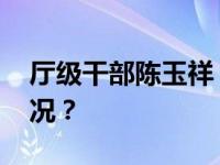 厅级干部陈玉祥，被中纪委查处 这是什么情况？