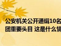 公安机关公开通缉10名缅北果敢自治区电信网络诈骗犯罪集团重要头目 这是什么情况？