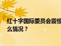 红十字国际委员会震惊！车队在苏丹遇袭，2死7伤 这是什么情况？