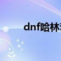 dnf哈林套哪套最好（哈林套选择）