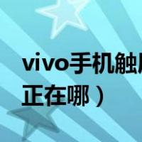 vivo手机触屏校正在哪里?（vivo手机触屏校正在哪）