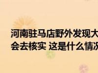 河南驻马店野外发现大量死猪？当地回应：接到多次举报，会去核实 这是什么情况？