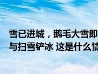 雪已进城，鹅毛大雪即将开始！北京：请市民力所能及，参与扫雪铲冰 这是什么情况？