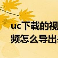 uc下载的视频怎么导出来手机（uc下载的视频怎么导出来）