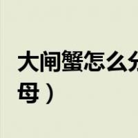 大闸蟹怎么分辨公母视频（大闸蟹怎么分辨公母）