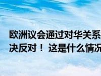 欧洲议会通过对华关系报告和涉台决议，我驻欧盟使团：坚决反对！ 这是什么情况？