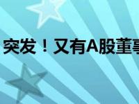 突发！又有A股董事长遭刑拘 这是什么情况？