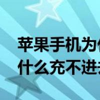 苹果手机为什么充不进去电呢?（苹果手机为什么充不进去电）