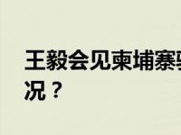 王毅会见柬埔寨驻华大使西索达 这是什么情况？