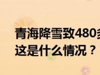 青海降雪致480多辆车被困，交警紧急救援 这是什么情况？