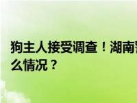 狗主人接受调查！湖南警方通报“女子遭黑狗撕咬” 这是什么情况？