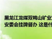 黑龙江龙煤双鸭山矿业双阳煤矿事故造成11人遇难，国务院安委会挂牌督办 这是什么情况？