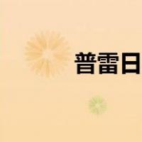 普雷日常攻略（普雷每日攻略）