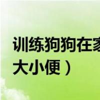 训练狗狗在家定点大小便（如何训练狗狗定点大小便）