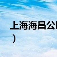 上海海昌公园攻略2023（上海海昌公园攻略）