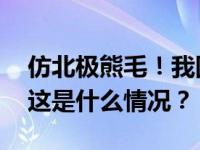 仿北极熊毛！我国科学家制备出超保暖材料 这是什么情况？