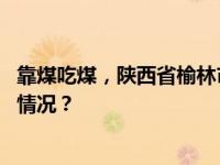 靠煤吃煤，陕西省榆林市原副市长王长安被公诉！ 这是什么情况？