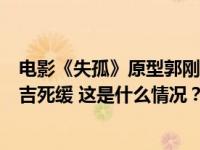 电影《失孤》原型郭刚堂之子被拐案一审宣判，被告人呼富吉死缓 这是什么情况？