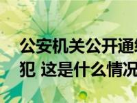 公安机关公开通缉10名缅北地区重大涉毒逃犯 这是什么情况？