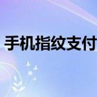 手机指纹支付怎么设置（指纹支付怎么设置）