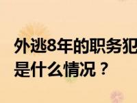 外逃8年的职务犯罪嫌疑人王先被遣返回国 这是什么情况？