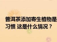 普洱茶添加寄生植物是否违法？最高法：充分尊重地方饮食习惯 这是什么情况？