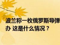 波兰称一枚俄罗斯导弹进入波领空，召见俄罗斯驻波临时代办 这是什么情况？