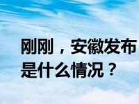 刚刚，安徽发布 28 名厅级干部任前公示 这是什么情况？