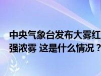 中央气象台发布大雾红色预警：上海南部等地部分地区有特强浓雾 这是什么情况？