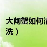 大闸蟹如何清洗处理视频教程（大闸蟹如何清洗）