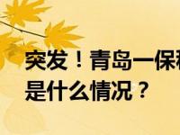 突发！青岛一保税仓库起火：正全力扑救 这是什么情况？