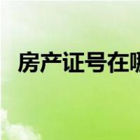 房产证号在哪里可以查到信息（房产证号）