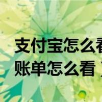 支付宝怎么看2017年度账单（支付宝2017年账单怎么看）