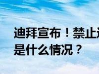 迪拜宣布！禁止进口与交易一次性塑料袋 这是什么情况？