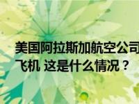 美国阿拉斯加航空公司宣布暂时停飞65架波音737 MAX 9飞机 这是什么情况？