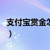 支付宝赏金怎么用出去（支付宝赏金怎么使用）