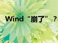 Wind“崩了”？公司回应 这是什么情况？