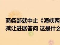 商务部就中止《海峡两岸经济合作框架协议》部分产品关税减让进展答问 这是什么情况？