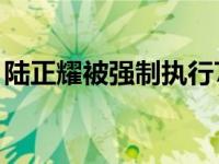 陆正耀被强制执行781万余元 这是什么情况？