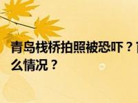 青岛栈桥拍照被恐吓？官方：停业整顿、严肃处理！ 这是什么情况？