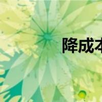 降成本是什么意思（降成本）