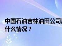 中国石油吉林油田公司原副总经理、安全总监尹旭被查 这是什么情况？