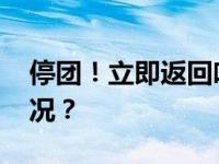 停团！立即返回哈尔滨接受调查 这是什么情况？