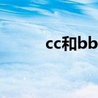 cc和bb哪个好用（bb和cc区别）