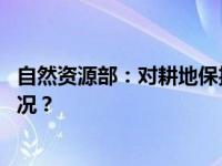 自然资源部：对耕地保护突出问题实行一票否决 这是什么情况？