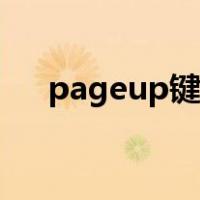 pageup键在哪图片（pageup键在哪）