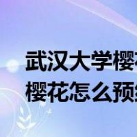 武汉大学樱花预约 网上预约入口（武汉大学樱花怎么预约）