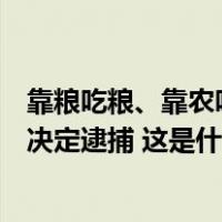 靠粮吃粮、靠农吃农，安徽省农业农村厅原副厅长杨增权被决定逮捕 这是什么情况？