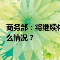 商务部：将继续依照法定程序审核特定石墨物项出口 这是什么情况？